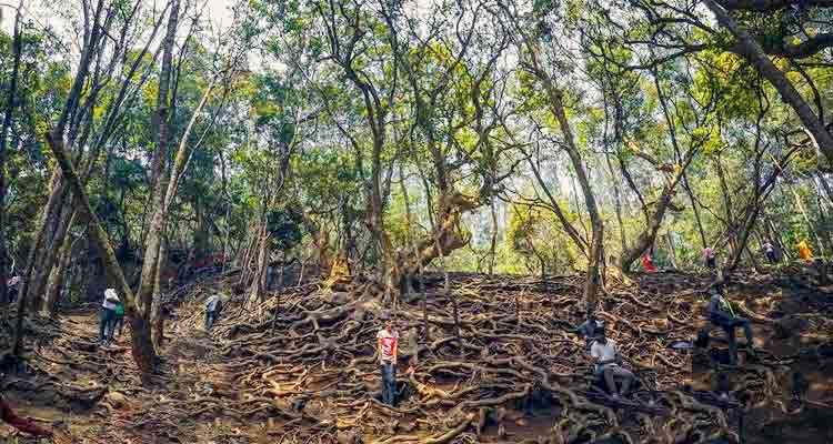 Guna Caves / Devil’s Kitchen Kodaikanal Guna Caves / Devil’s Kitchen Kodaikanal Tourist Attraction